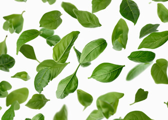 Fototapeta na wymiar fresh leaves flying around over white background, trendy levitation illustration created with generative ai technology