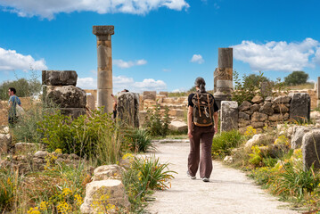 Ruins of the ancient Roman town of Volubilis in Morocco