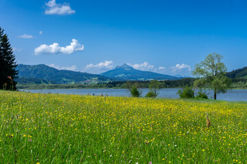 Urlaub im schönen Allgäu Bayern: der Grüntensee, nähe Nesselwang als Ausflugsziel, zum Baden,...
