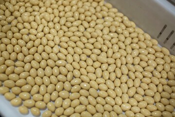 Closeup of the preparation of handmade chocolate candies