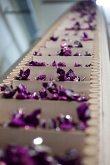 Naklejka na ściany i meble Closeup of the preparation of handmade chocolate candies