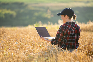 Woman farmer working with laptop on wheat field. Smart farming and digital agriculture..