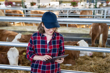 Woman farmer with tablet at a dairy farm. Herd management..