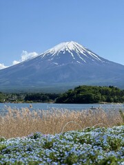 Obraz premium Awe-inspiring Fujiyama mountain peak illuminated by the sun's rays in Japan