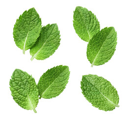 Set of fresh mint leaves cut out