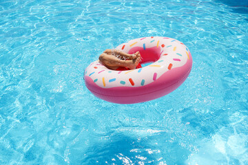 Happy kid playing with colorful donut shaped inflatable ring in outdoor swimming pool on hot summer day. Kids learn to swim. 