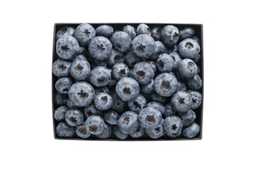 Fresh premium blueberries in black paper box isolated on white background