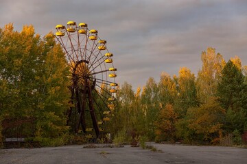 a giant ferris wheel in an abandoned building in a wooded area