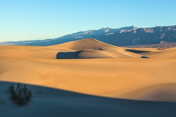 Fototapeta na wymiar Stunning view of the Mesquite Sand Dunes in Death Valley National Park, California, during sunrise.