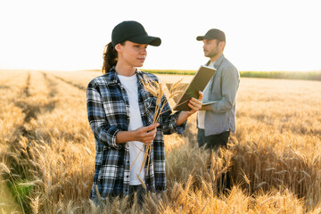 Couple of farmers examines the field of cereals.