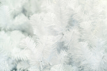 Light background of artificial, white firs. Flat lay frame. Blank for a designer