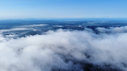 Stunning view of the clouds over the mountains covered in dense trees at sunlight