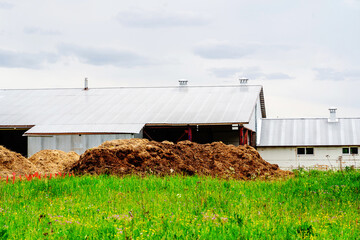 Fragment of an agricultural farm and a heap of manure. Preparation of natural fertilizer from cattle droppings. Summer time. No people - obrazy, fototapety, plakaty