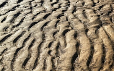 Closeup of the wet sand of the beach on a sunny day