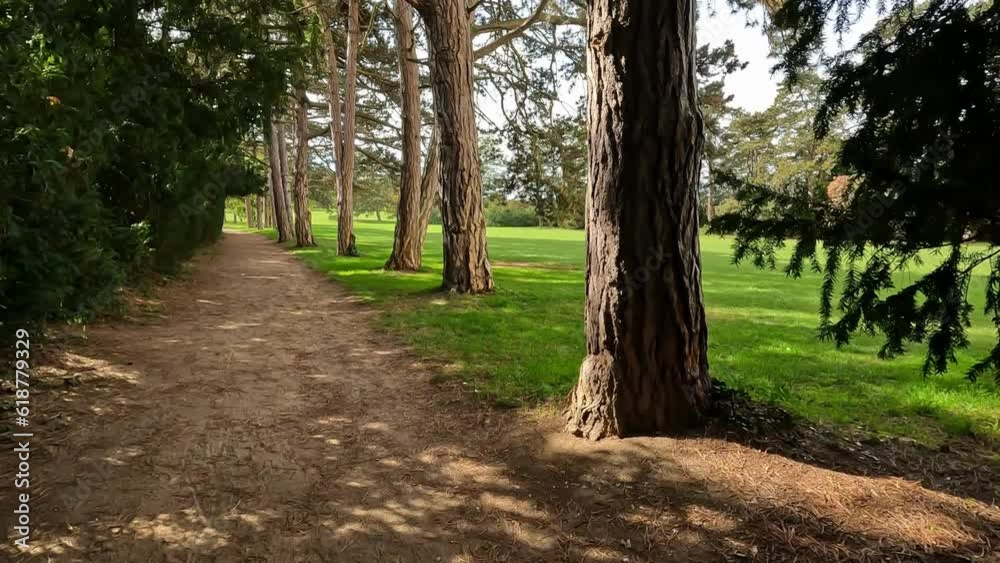 Sticker unpaved path between green trees in a park on a sunny day