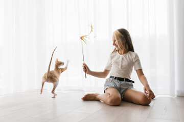 Teen girl sitting on the floor playing with a cat cornish rex with a stick teaser
