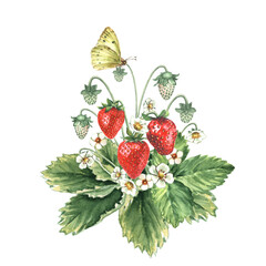 Watercolor Strawberry Bush with butterfly