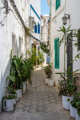 Fototapeta na wymiar Cityscape of the picturesque center of Asilah in Morocco