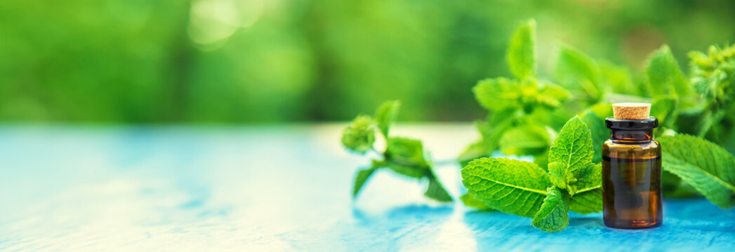 Peppermint essential oil in a small bottle. Selective focus.