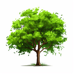 Vector Green leafy tree illustration on isolated white background - ai generative