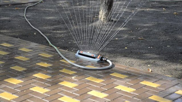 watering the earth with grass seeds for the future lawn. irrigation of the soil for the rapid growth of grass seeds. automatic sprinkler for the lawn or lawn. care for the environment