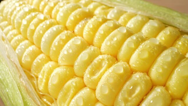 Captivating macro video of sweetcorn glistening with droplets of water. Every kernel becomes a mesmerizing world of its own, revealing nature's delicate beauty. Sweetcorn background
