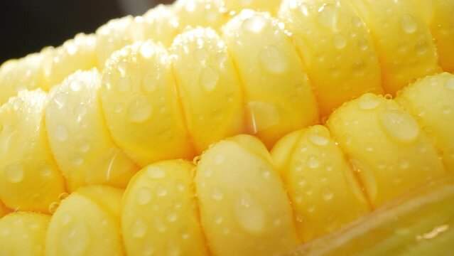 A mesmerizing macro video captures sweetcorn kernels glistening with tiny droplets of water, showcasing their natural beauty and tempting freshness. Sweetcorn background
