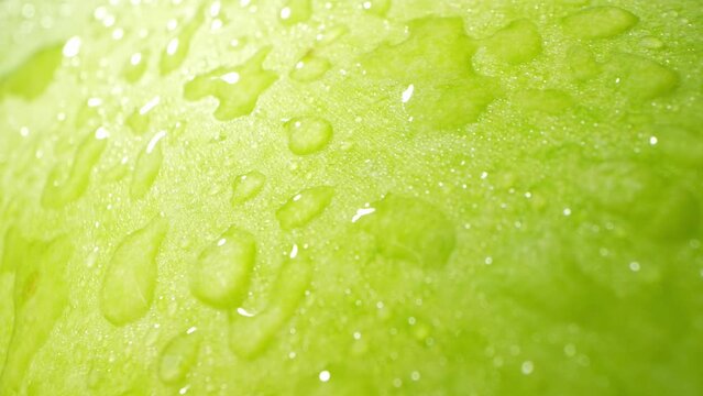 A macro video showcases a luscious wax gourd, adorned with sparkling droplets of water. Through a probe lens, every intricate detail is magnified, revealing the gourd's mesmerizing textures
