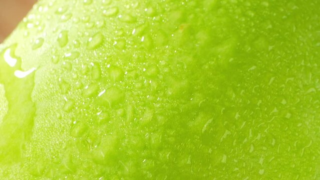 Mesmerizing macro video showcases a wax gourd's intricate surface adorned with sparkling droplets of water, captured flawlessly with a probe lens. Nature's elegance encapsulated. 4K
