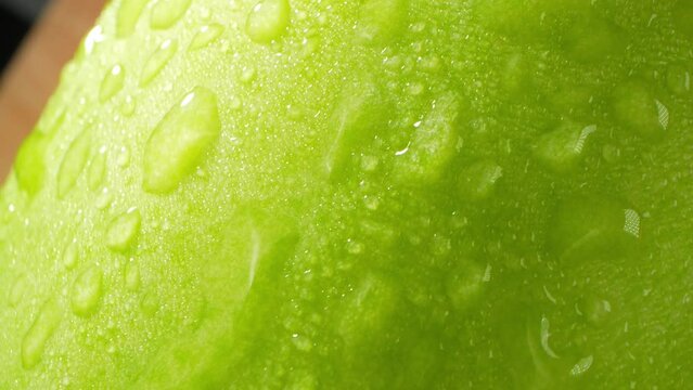 A mesmerizing macro video captures the beauty of a wax gourd, its lush green skin adorned with delicate droplets of water. The probe lens unveils intricate details, showcasing nature's artistry

