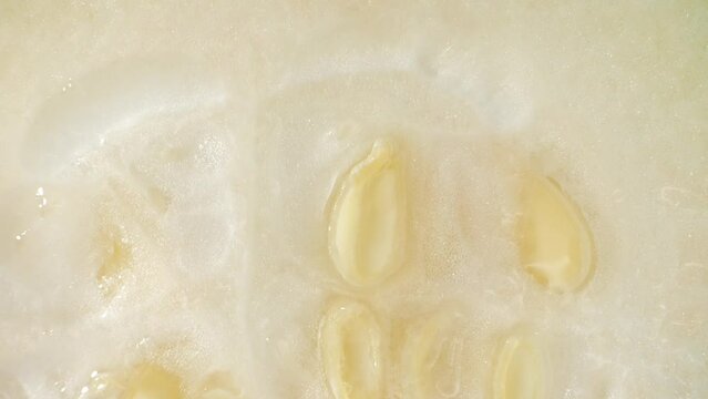 Macro video showcasing the intricate details of a half-cut Wax gourd using a probe lens. Revealing the mesmerizing texture, vibrant colors, and delicate seeds

