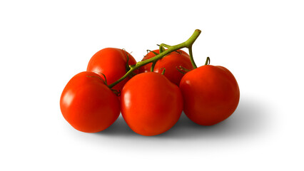 Some lush red tomatoes on branch isolated on empty background
