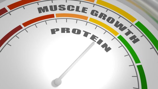 Abstract measuring device. Influence of protein on muscle mass building. Scales of cause and effect.