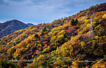 紅葉する山