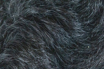 close up of hair texture