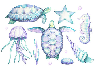 Nautical set with turtles, seahorses, algae, jellyfish, seashells, purple and turquoise colors,...