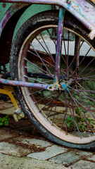 Close-up of a Rusty Purple Bicycle Wheel