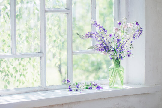 summer flowers in vase on windowsill in sunlight