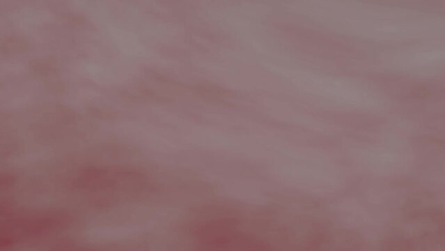 Fluid Gradient Animation. Loopable Background. Pastel Gradient Loop. Red, White, Burgundy