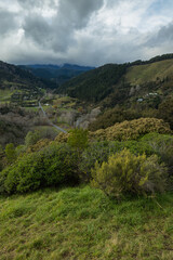 Fototapeta na wymiar ニュージーランド　ネルソンのセンター・オブ・ニュージーランドから見える風景