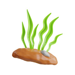 3d Seaweed. icon isolated on white background. 3d rendering illustration