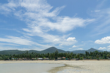 Palm tree coconut tree on white sand beach in Koh Phangan tropical paradise island, the most beautiful beach in the world