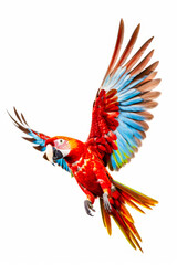 Colorful parrot flying through the air with its wings spread out and it's wings spread. Generative AI.