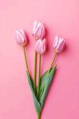 Three pink tulips on pink background with green stems and leaves. Generative AI.