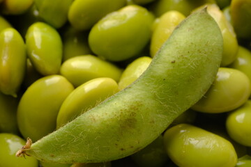 Closeup of peeled edamame. Edamame or mao dou in Chinese, has the Latin name Glycine mas is a tropical plant that belongs to the legume sub-family