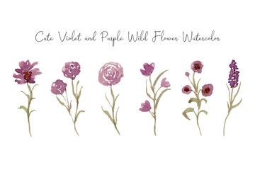 Elegant Wild Flower Watercolor Collection