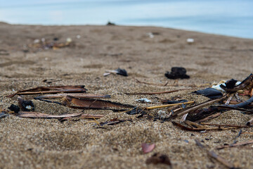 photo of trash or marine garbage on the beach