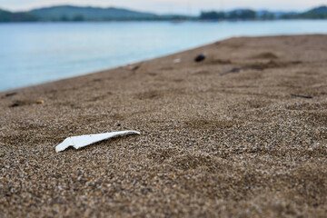 photo of trash or marine garbage on the beach