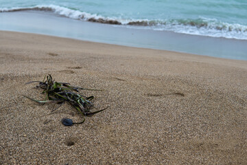 photo of trash or marine garbage on the beach