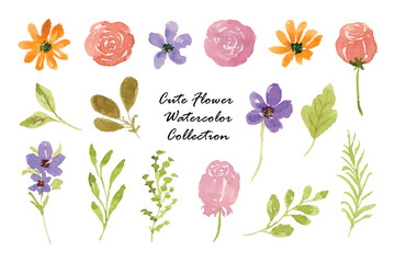 Beautiful Flower and Leaf Watercolor Collection